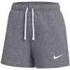 Lühikesed püksid Damskie Nike Park 26 Fleece hall IB1243 071 M