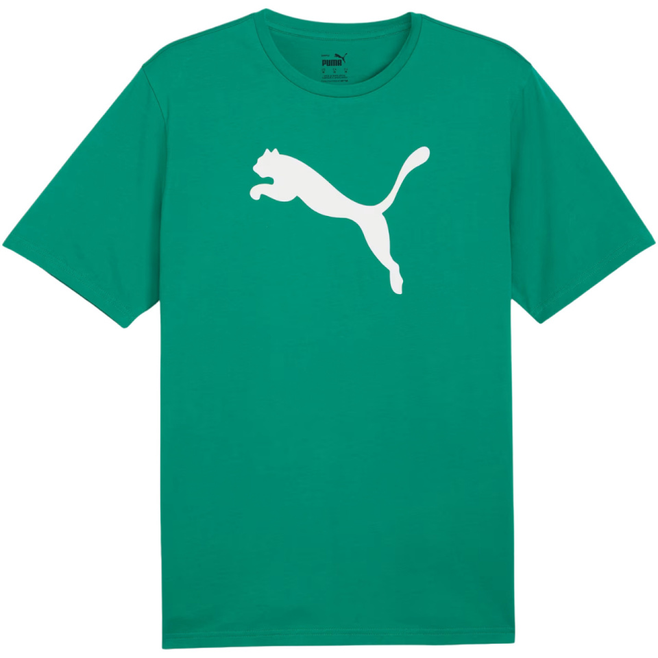 Puma T-särk meestele Team Rise Logo Jersey Cotton roheline 658705 05 suurus L