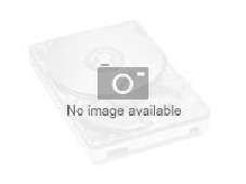 Polar Team PRO Shirt WHI XL