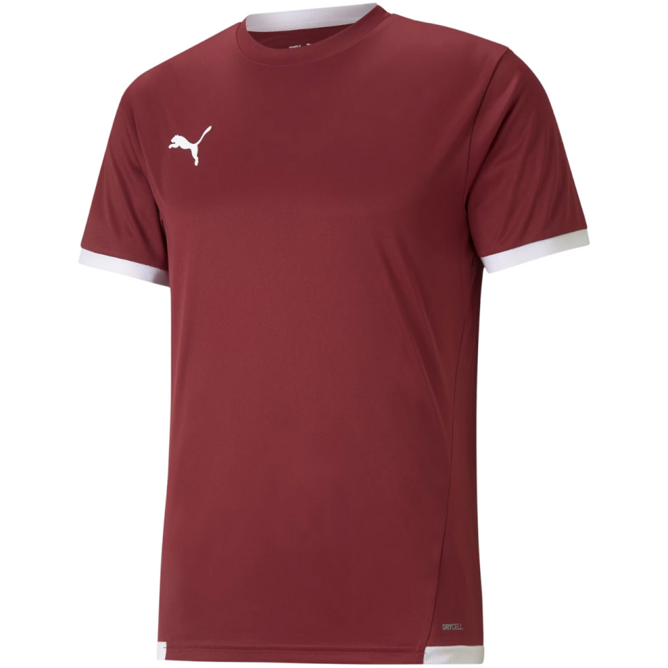 Puma T-särk meestele Teamliga Jersey bordoopunane 704917 09 suurus M