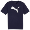 Puma T-särk meestele Team Rise Logo Jersey Cotton tumesinine 658705 06 suurus S