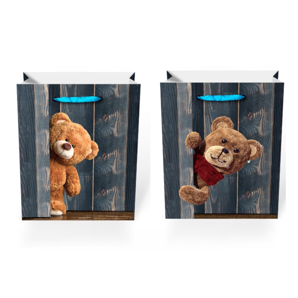 H4Y kinkekott TEDDY BEAR XL, 40x56x18cm, mix