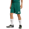 Lühikesed püksid Kids Adidas Entrada 26 roheline KE9831 152cm