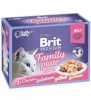 Brit kassitoit Premium Cat Pouch Jelly Fillet Family Plate - Wet Cat Food- 12x85g
