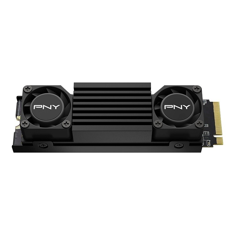 PNY kõvaketas SSD Disc 1TB M.2 2280 CS3150 M280CS3150HS-1TB-RB must HEATSINK