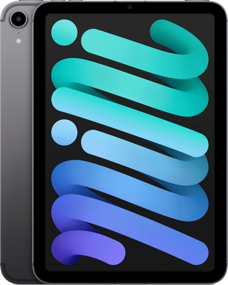 Apple tahvelarvuti iPad mini 64GB WiFi + 5G (6th Gen), space gray