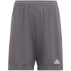 Lühikesed püksid Kids Adidas Entrada 22 hall H57507 116cm