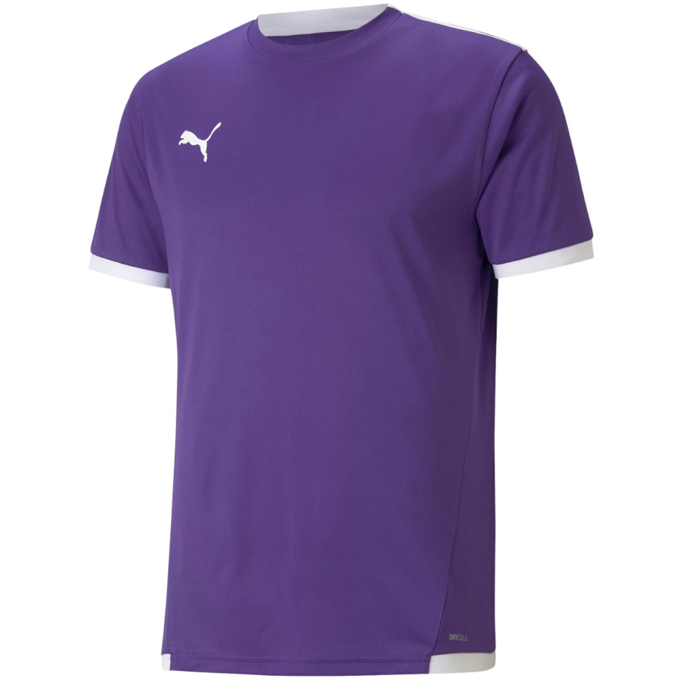 Puma T-särk meestele Teamliga Jersey violetne 704917 10 suurus L