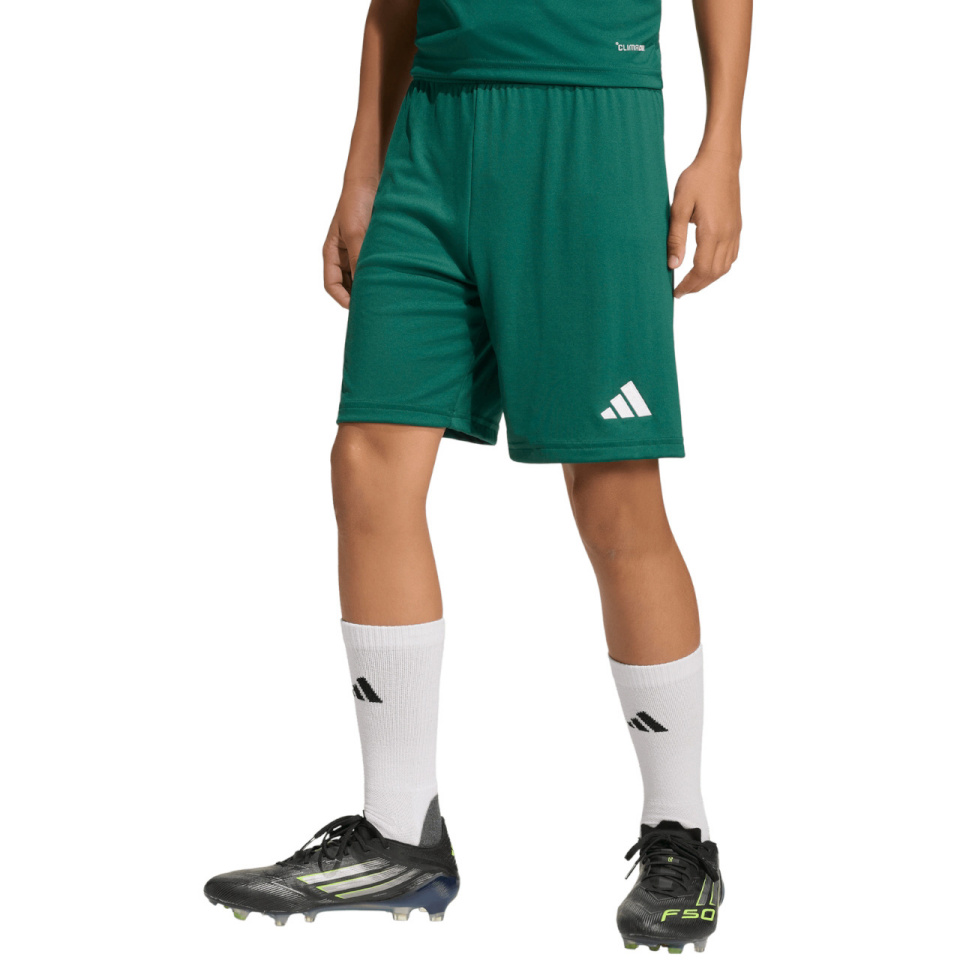 Lühikesed püksid Kids Adidas Entrada 26 roheline KE9831 128cm