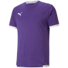 Puma T-särk meestele Teamliga Jersey violetne 704917 10 suurus XL