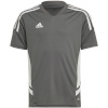 Adidas Teamwear T-särk lastele Condivo 22 Jersey hall HD2319 suurus 128cm