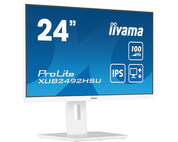 iiyama monitor 60,5cm (23.8") XUB2492HSU-W6 16:9 HDMI+DP+USB IPS wh. Retail