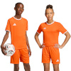 Adidas Teamwear T-särk lastele Entrada 26 Jersey oranž JZ2526 suurus 164cm