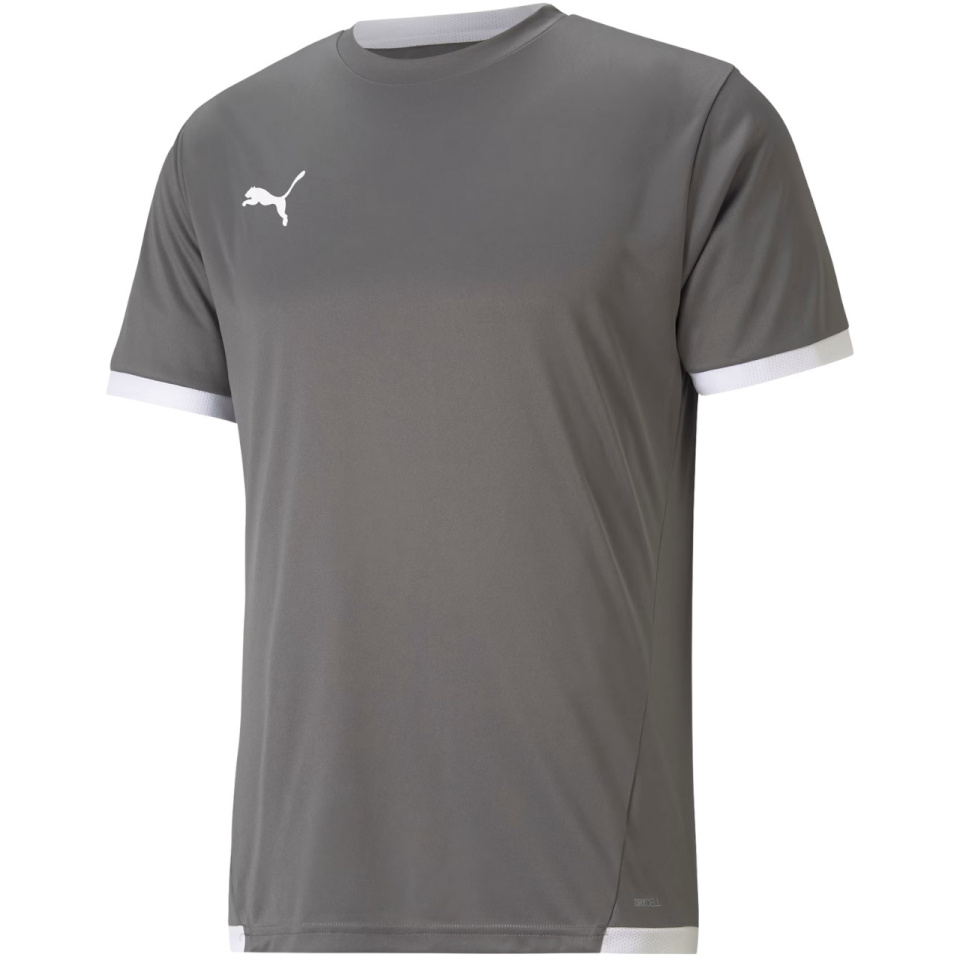 Puma T-särk meestele Teamliga Jersey hall 704917 13 suurus L