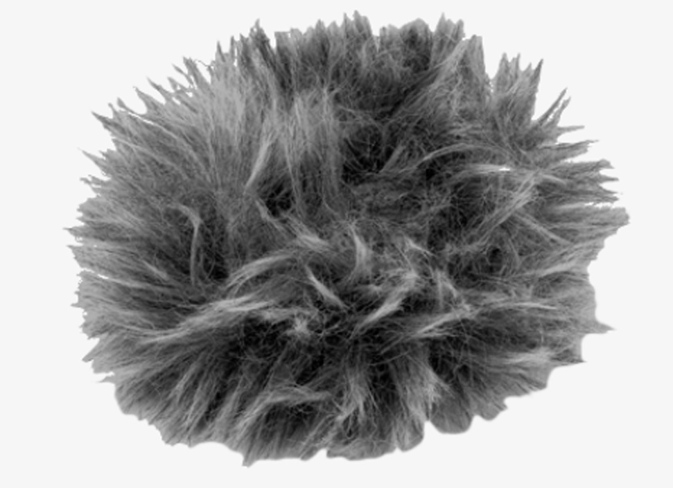 Olympus WJ-2 mikrofoni tuulekaitse LS-P1/P2 jaoks