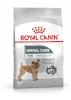 Royal Canin kuivtoit koerale CCN Mini Dental Care, 3kg