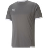 Puma T-särk meestele Teamliga Jersey hall 704917 13 suurus XXL