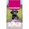 Eukanuba kuivtoit koerale Premium Nutrition Puppy Large & Giant Breed Chicken, 18kg
