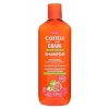 Cantu kõõmavastane šampoon Scalp relief 400ml