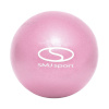 SMJ võimlemispall 25cm roosa BL032
