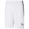 Lühikesed püksid meestele Puma Teamliga valge 704924 04 M