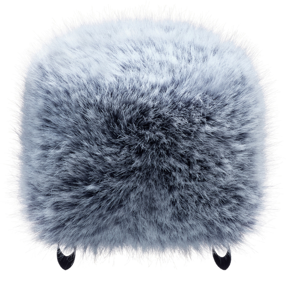 Tascam WS-86 originaal tuuleklaas kaasaskantavatele helisalvestitele