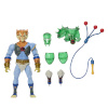 Mattel Masters of the Universe Origins Thundercats Tygra
