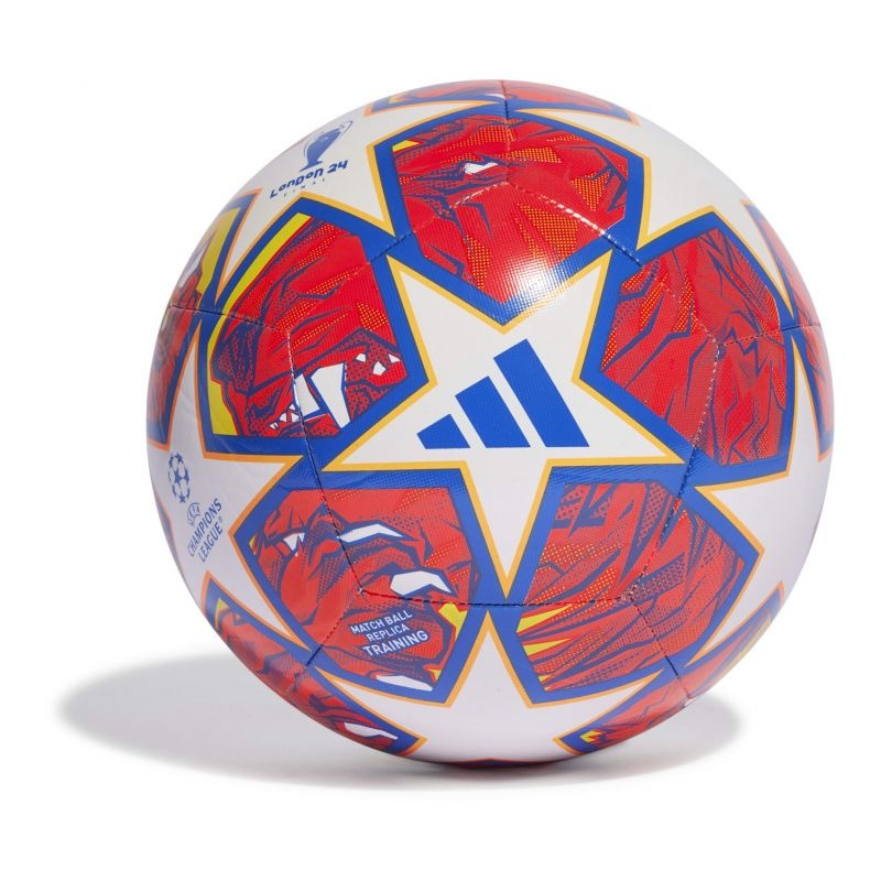 Adidas jalgpall UCL Training IN9332 5