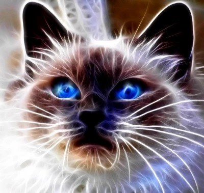 Norimpex teemantmaal Diamond Mosaic - kass