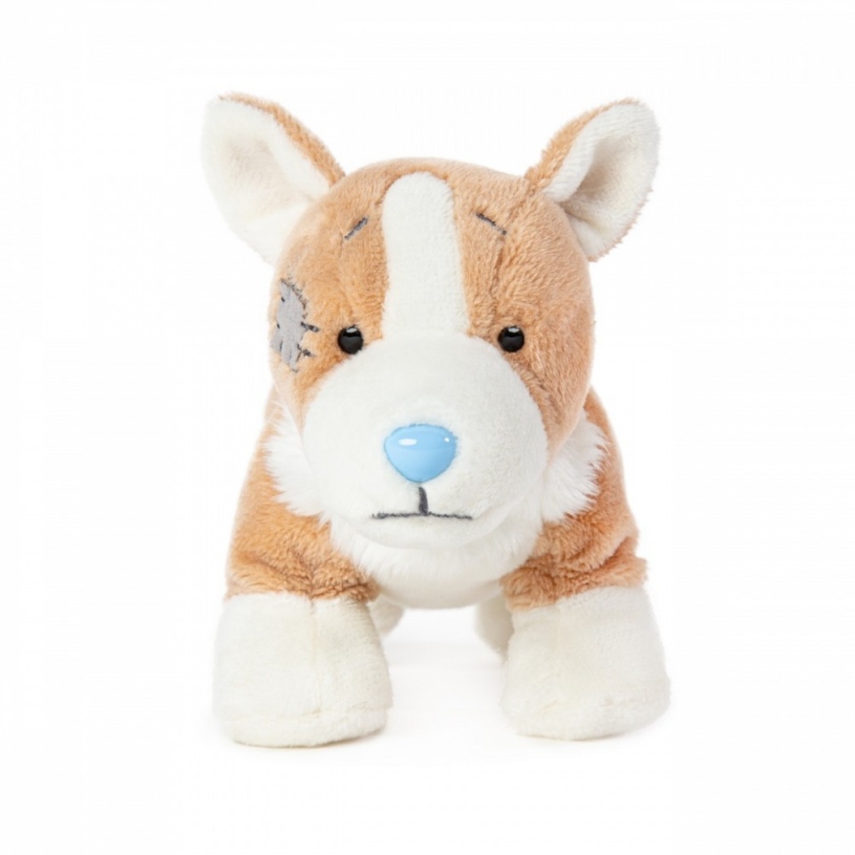 Mg Dystrybucja pehme mänguasi Mascot The friend of the sinine nose - Corgi Queenie