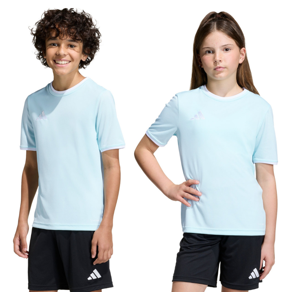 Adidas Teamwear T-särk lastele Entrada 26 Jersey Blue KE9844 suurus 140cm