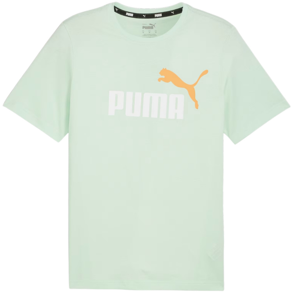 Puma T-särk meestele Ess+ 2 Col Logo Tee mündiroheline 586759 88 suurus S