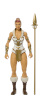 Mattel Masters of the Universer New Eternia Teela