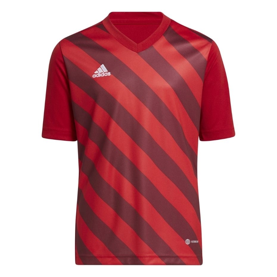 Adidas Teamwear T-särk lastele Entrada 22 Graphic Jersey punane H58983 suurus 116cm