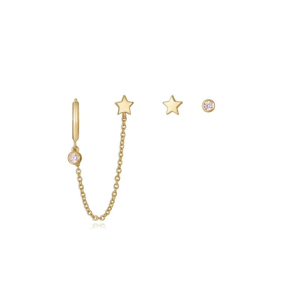 Viceroy naiste kõrvarõngad 9111E100-30