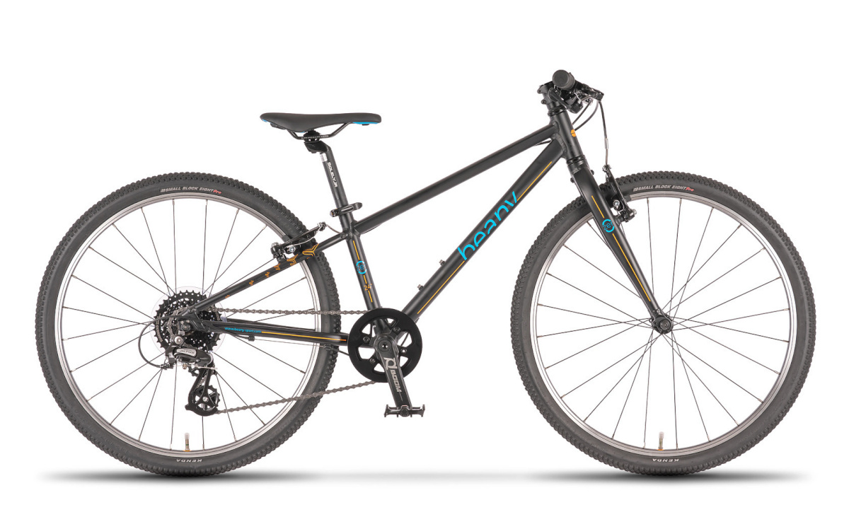 Beany jalgratas Zero 24 must