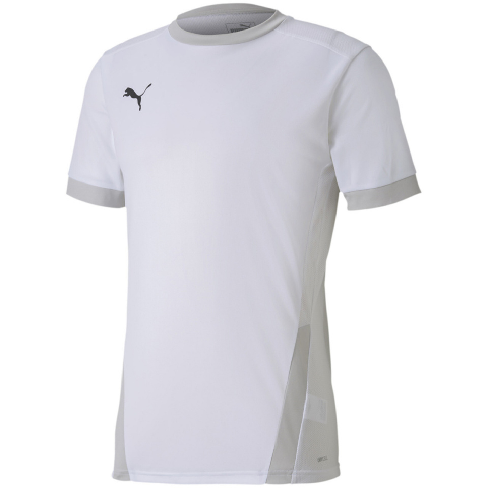 Puma T-särk meestele Teamgoal 23 Jersey valge 704171 04 suurus XXL