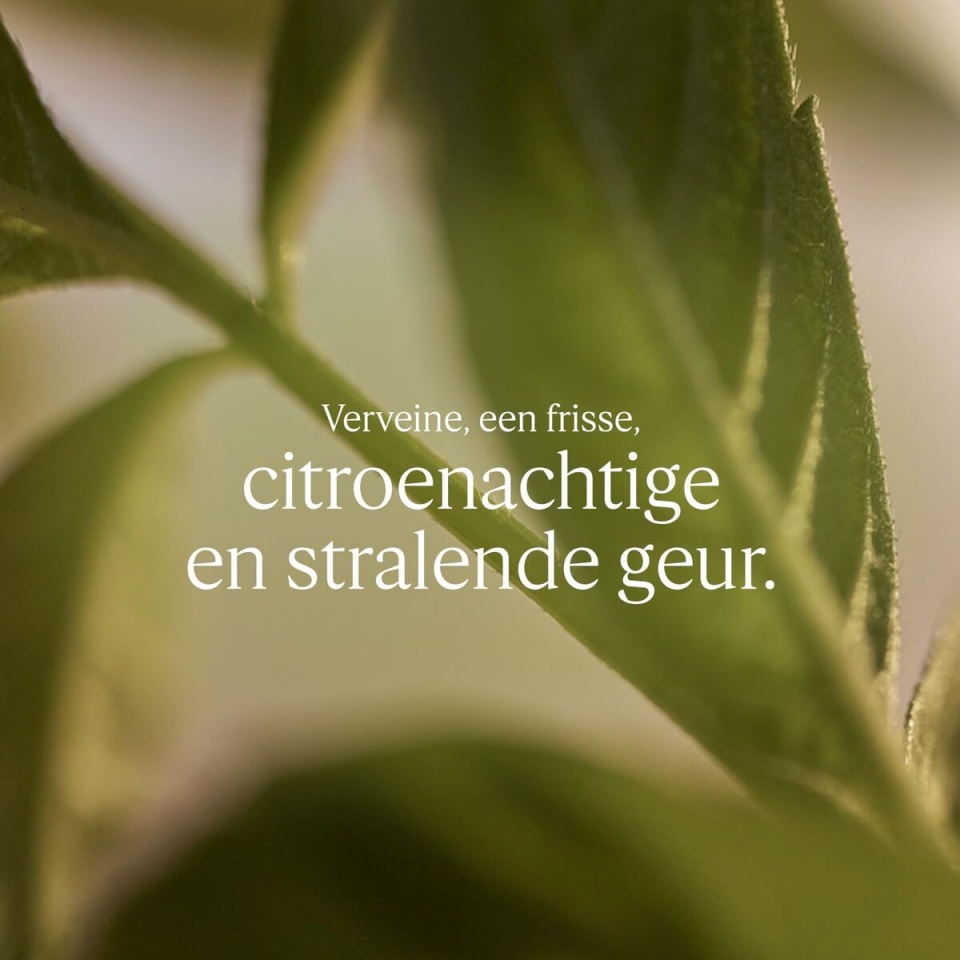 L'Occitane dušigeel KARITÉ CONFORT 500ml