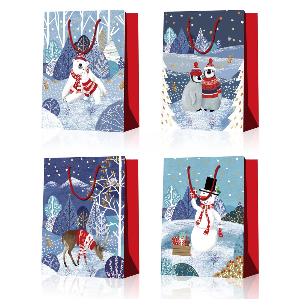 H4Y kinkekott POLAR L, 31x42x12cm, mix