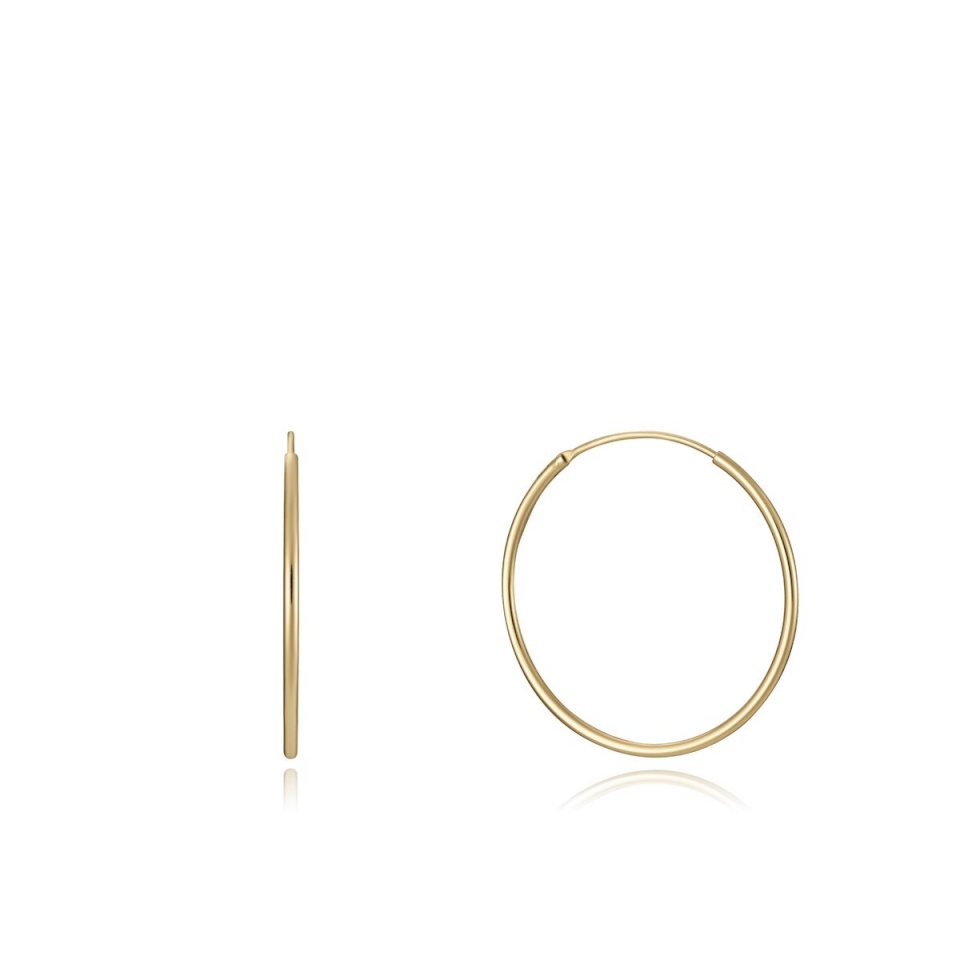 Viceroy naiste kõrvarõngad 13112E100-06