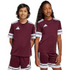 Adidas Teamwear T-särk lastele Squadra 25 bordoopunane JC8667 suurus 116cm