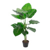 H4Y kunstpuu Pothos, 90cm