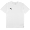 Puma T-särk lastele Teamrise Matchday valge 706284 04 suurus 116cm