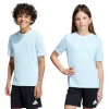 Adidas Teamwear T-särk lastele Entrada 26 Jersey Blue KE9844 suurus 116cm