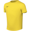 Nike Team T-särk lastele Dri-Fit Park Viii kollane HV8182 719 suurus XS