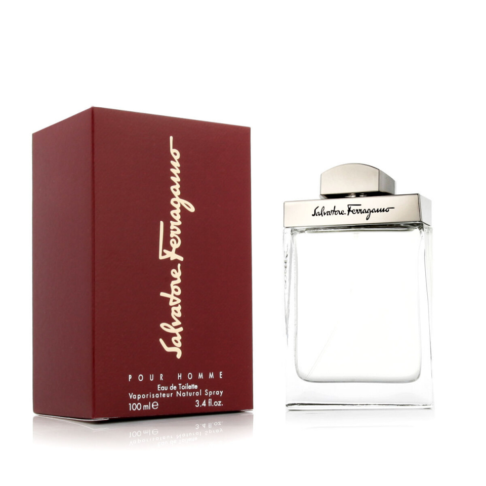 Salvatore Ferragamo parfüüm Pour Homme 100ml, meestele
