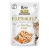 Brit kassitoit Care Cat Fillets In Jelly Fine Trout&Cod 85g
