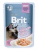 Brit kassitoit Premium Cat Gravy Sterilised Fillets Salmon 85g