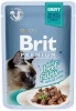 Brit kassitoit Premium Cat Gravy Fillets With Beef 85g