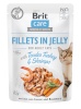 Brit kassitoit Care Cat Fillets In Jelly Tender Turkey&Shrimps 85g
